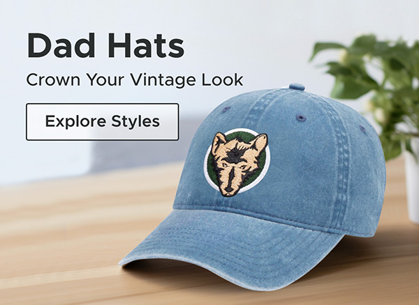 Blank hats wholesale hats custom caps otto caps embroidered hats