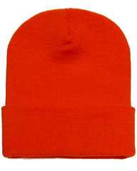 Cuffed Beanie