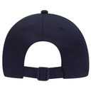18-010 Brushed Cotton Twill Low Profile Pro Style Caps