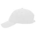 18-202 OTTO CAP 6 Panel Low Profile Dad Hat
