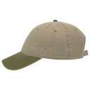 18-202 OTTO CAP 6 Panel Low Profile Dad Hat