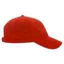 18-429 Micro Fleece Polyester Low Profile Pro Style Caps