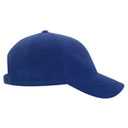 18-429 Micro Fleece Polyester Low Profile Pro Style Caps