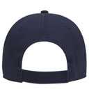 18-692 OTTO CAP 6 Panel Low Profile Dad Hat