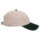 18-772 OTTO CAP 6 Panel Low Profile Dad Hat