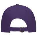 18-772 OTTO CAP 6 Panel Low Profile Dad Hat