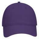 18-772 OTTO CAP 6 Panel Low Profile Dad Hat
