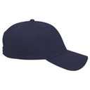 19-061 OTTO CAP 6 Panel Low Profile Baseball Cap