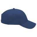 19-061 OTTO CAP 6 Panel Low Profile Baseball Cap