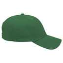 19-061 OTTO CAP 6 Panel Low Profile Baseball Cap