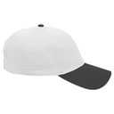 19-061 OTTO CAP 6 Panel Low Profile Baseball Cap