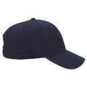 19-208 OTTO CAP 6 Panel Low Profile Baseball Cap