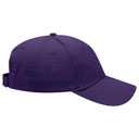 19-251 OTTO CAP 6 Panel Low Profile Baseball Cap