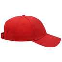 19-251 OTTO CAP 6 Panel Low Profile Baseball Cap