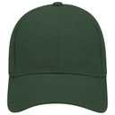 19-251 OTTO CAP 6 Panel Low Profile Baseball Cap