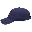 19-251 OTTO CAP 6 Panel Low Profile Baseball Cap