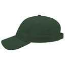 19-251 OTTO CAP 6 Panel Low Profile Baseball Cap