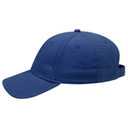 19-251 OTTO CAP 6 Panel Low Profile Baseball Cap