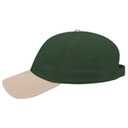 19-251 OTTO CAP 6 Panel Low Profile Baseball Cap