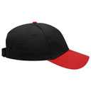 19-251 OTTO CAP 6 Panel Low Profile Baseball Cap