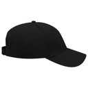 19-251 OTTO CAP 6 Panel Low Profile Baseball Cap