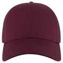 19-503 OTTO CAP 6 Panel Low Profile Baseball Cap