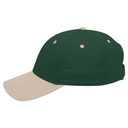 19-536 OTTO CAP 6 Panel Low Profile Baseball Cap