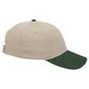 19-536 OTTO CAP 6 Panel Low Profile Baseball Cap