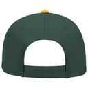 19-536 OTTO CAP 6 Panel Low Profile Baseball Cap