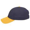 19-536 OTTO CAP 6 Panel Low Profile Baseball Cap
