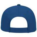 19-536 OTTO CAP 6 Panel Low Profile Baseball Cap