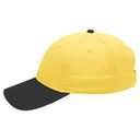 19-536 OTTO CAP 6 Panel Low Profile Baseball Cap