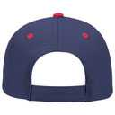 19-536 OTTO CAP 6 Panel Low Profile Baseball Cap