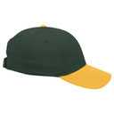 19-536 OTTO CAP 6 Panel Low Profile Baseball Cap