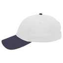 19-536 OTTO CAP 6 Panel Low Profile Baseball Cap