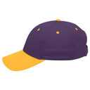 19-536 OTTO CAP 6 Panel Low Profile Baseball Cap