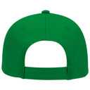 19-536 OTTO CAP 6 Panel Low Profile Baseball Cap