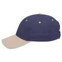 19-536 OTTO CAP 6 Panel Low Profile Baseball Cap