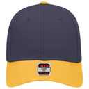 19-536 OTTO CAP 6 Panel Low Profile Baseball Cap