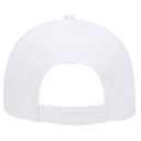 19-768 OTTO CAP 6 Panel Cotton Twill Low Profile Baseball Cap