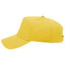 31-069 OTTO CAP 5 Panel Mid Profile Baseball Cap