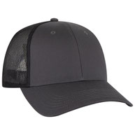 252503 - Ch.Gry/Ch.Gry/Blk