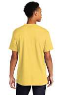 Next Level ™  Unisex Cotton Tee. NL3600