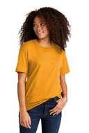 Next Level ™  Unisex Cotton Tee. NL3600