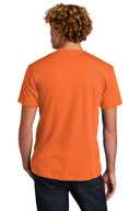 Next Level ™  Unisex CVC Tee. NL6210