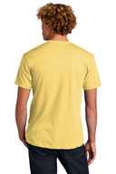 Next Level ™  Unisex CVC Tee. NL6210