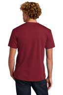 Next Level ™  Unisex CVC Tee. NL6210