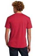 Next Level ™  Unisex CVC Tee. NL6210