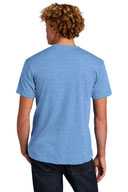 Next Level ™  Unisex CVC Tee. NL6210