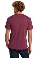 Next Level ™  Unisex CVC Tee. NL6210